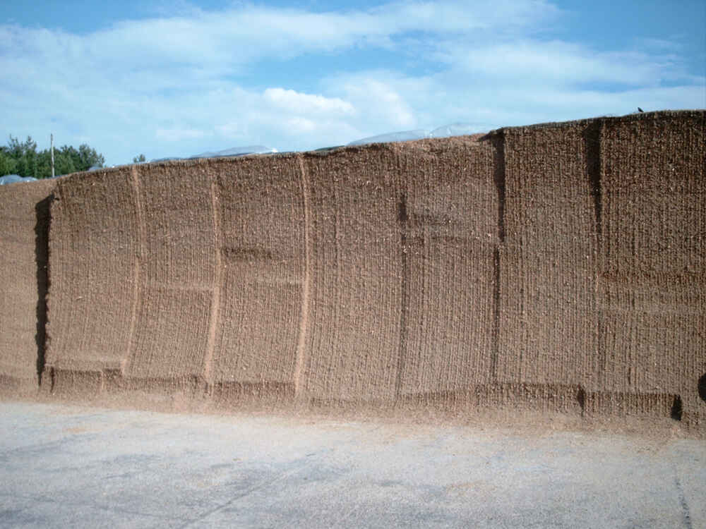 Maissilo Maissilo
