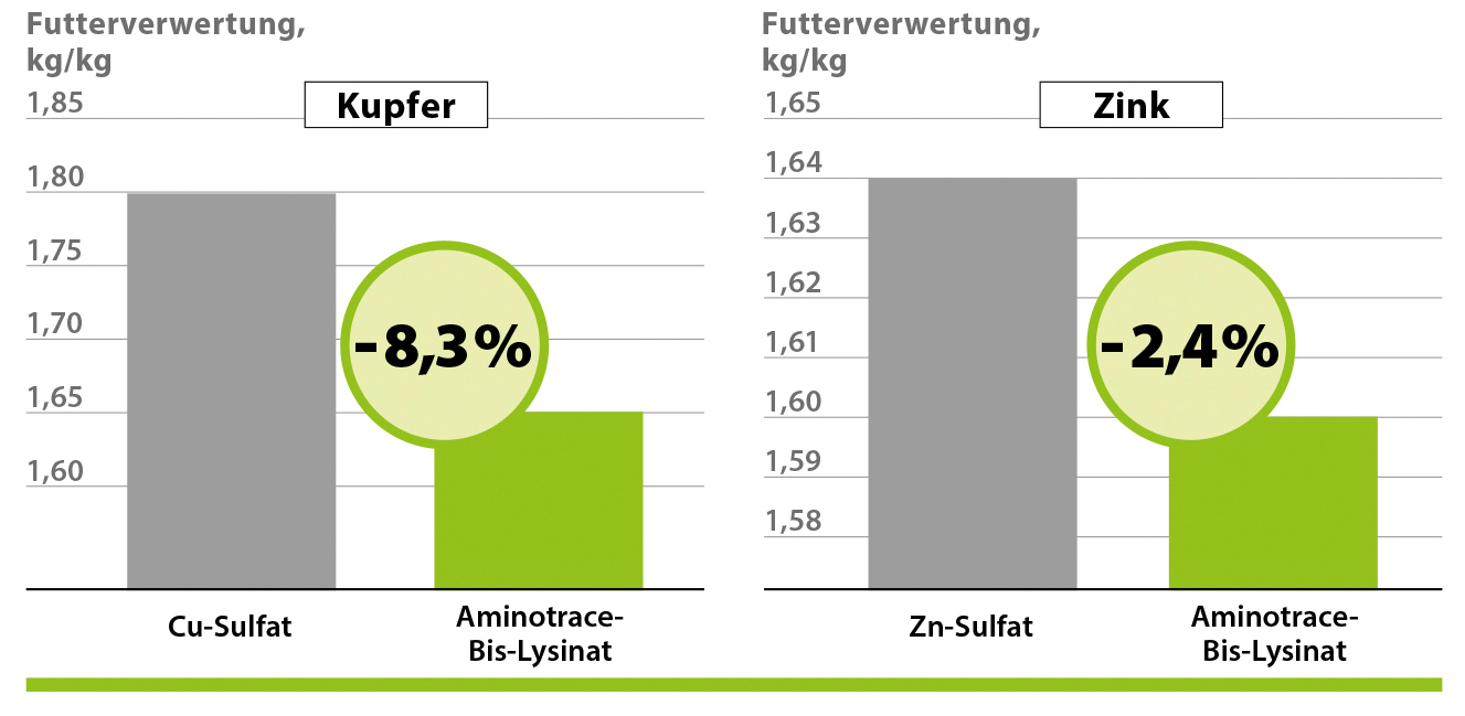 AMINOTRACE bei Geflügel AMINOTRACE bei Geflügel