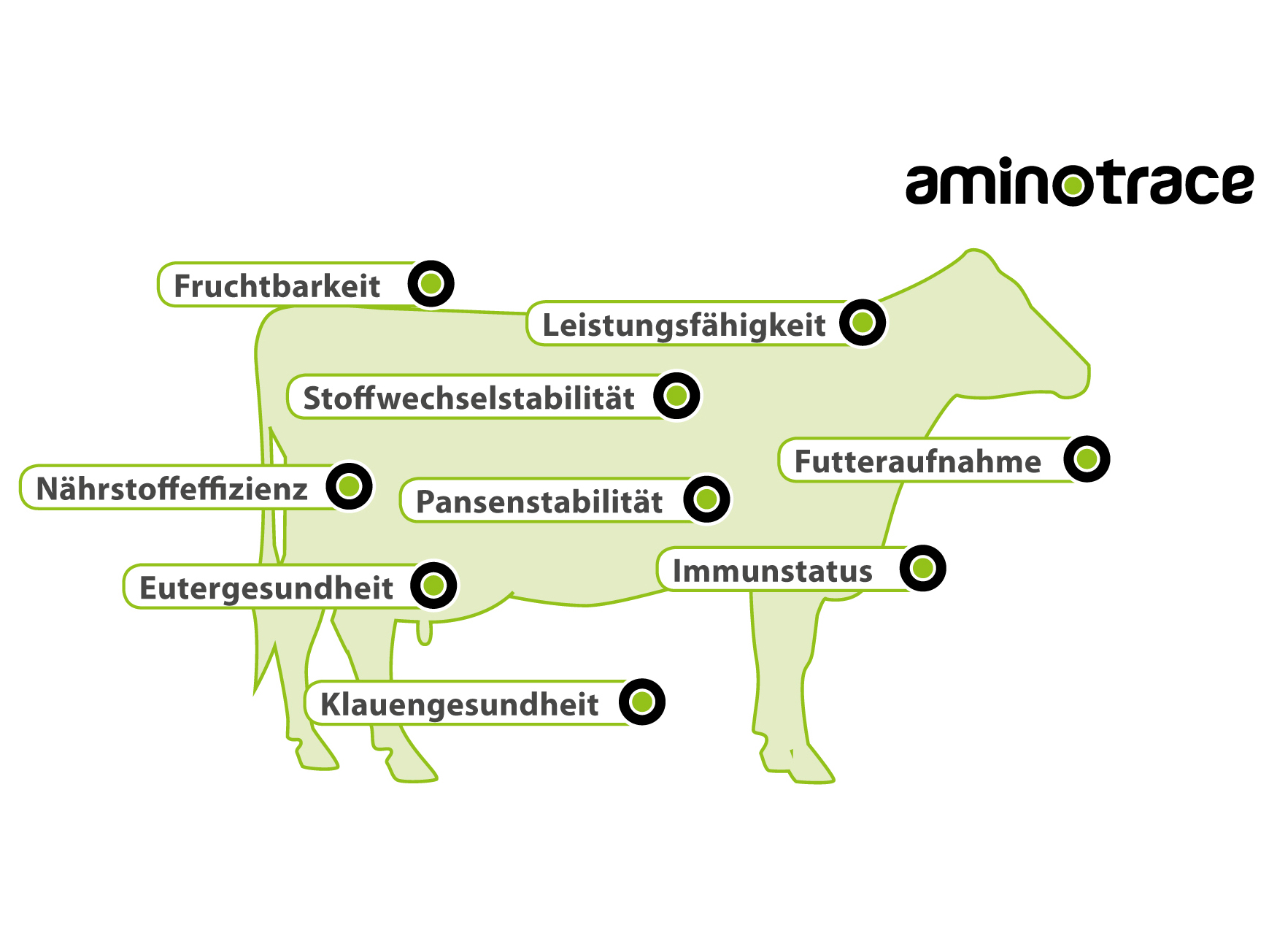 AMINOTRACE bei Rindern AMINOTRACE bei Rindern