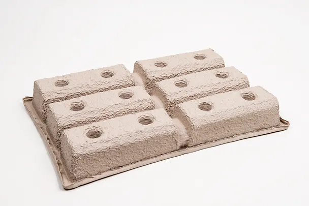 SCHAUMANN-SIXPIG SCHAUMANN-SIXPIG