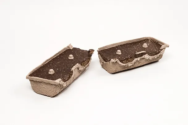 SCHAUMANN-SIXPIG SCHAUMANN-SIXPIG